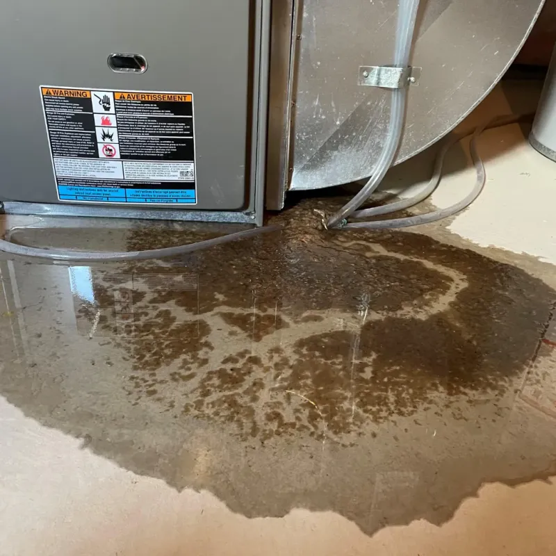 Appliance Leak Cleanup in Wadesboro, NC